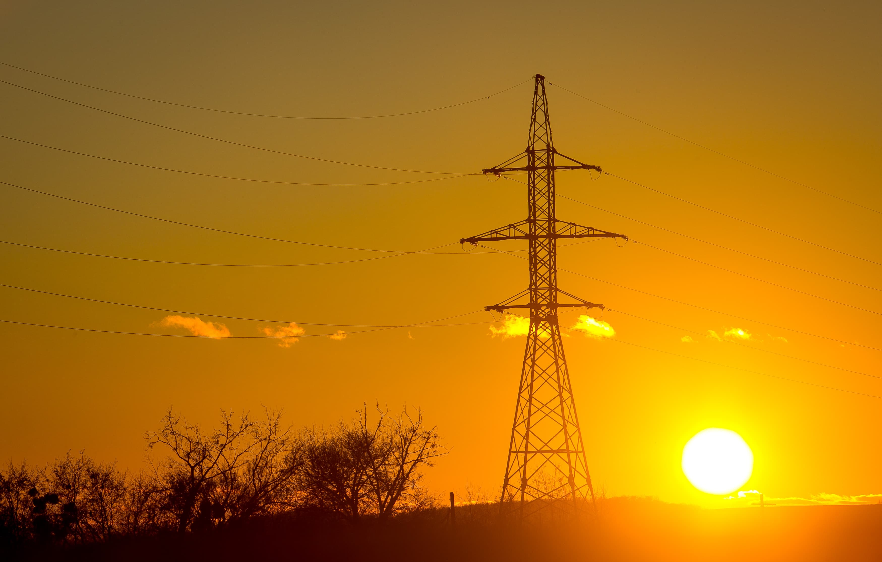 https://d300zch48kanqv.cloudfront.net/original_images/pylon_bushes_orange_sunset.jpeg