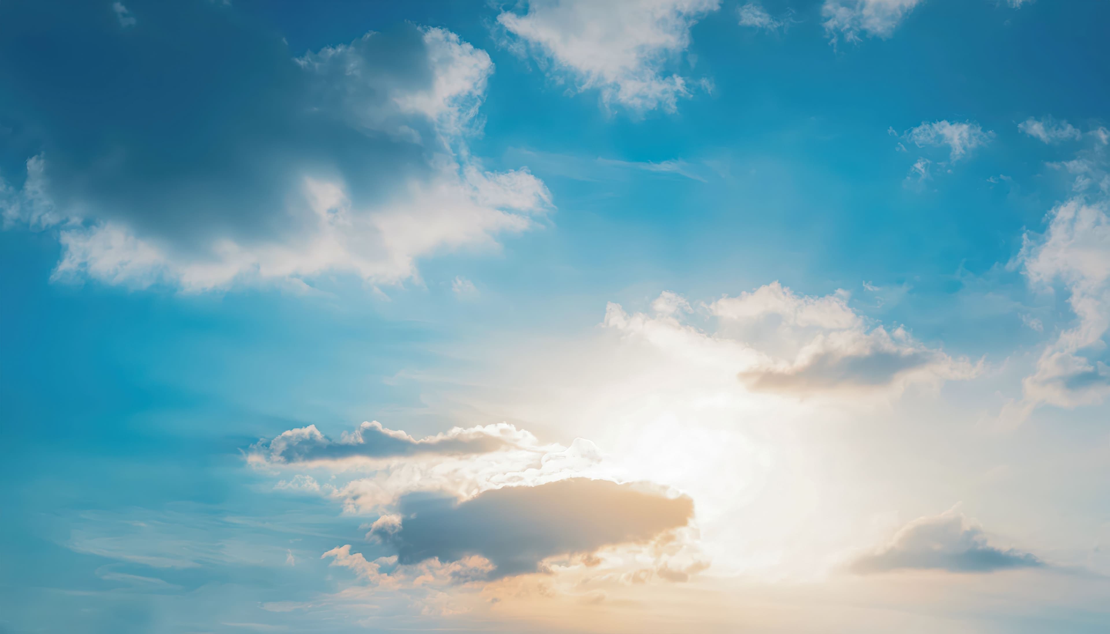 https://d300zch48kanqv.cloudfront.net/original_images/shutterstock_25299194471.jpg