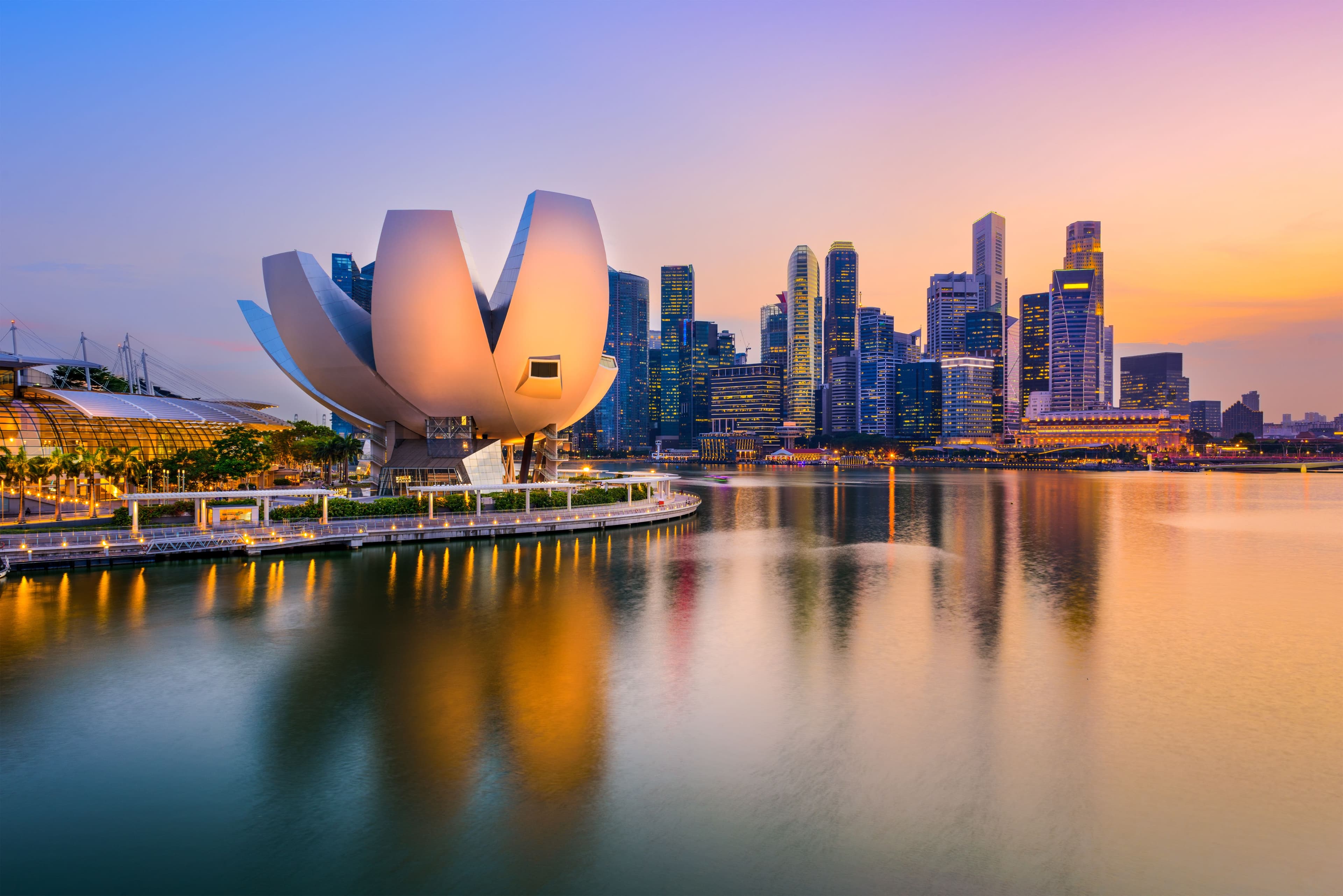 https://d300zch48kanqv.cloudfront.net/original_images/shutterstock_378537619_8nu2jBh.jpg